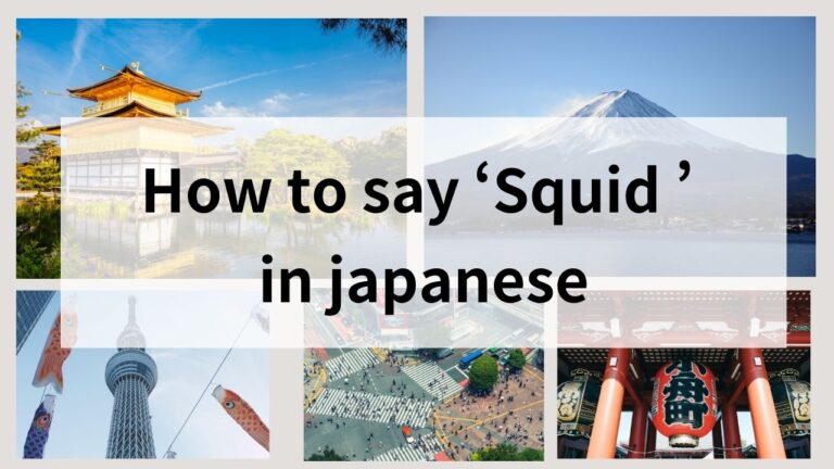 How to Say ‘Squid’ in Japanese: Speak like local | AuthenticJapaneseWords